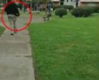 Amenazó a sus vecinos con un arma porque le reclamaron por golpear a una perrita 2 Amenazó a sus vecinos con un arma porque le reclamaron por golpear a una perrita Según se puso conocer, un hombre que estaba sacando a su mascota, pateo en dos ocasiones a otra perrita por acercársele, por lo que el dueño del animal y otros vecinos le reclamaron por la agresión.
