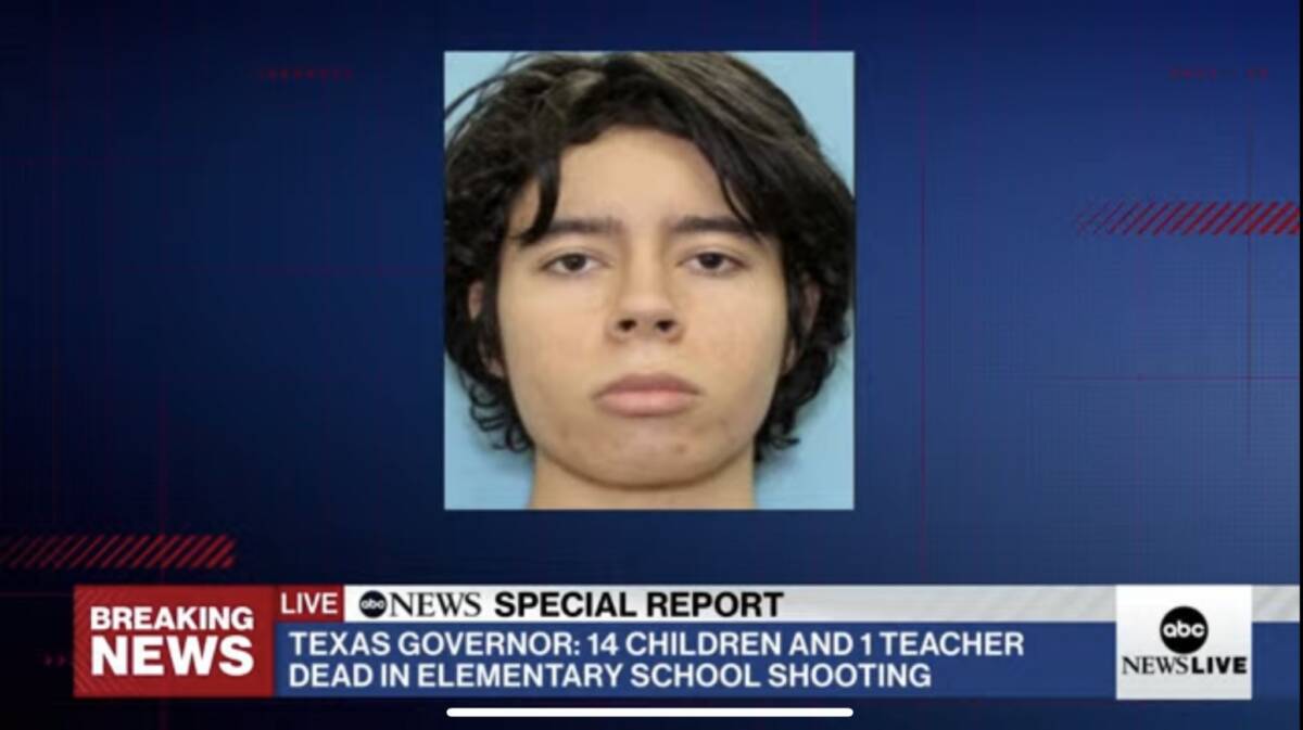 Este es el joven que asesinó a 14 niños y un docente en colegio de Texas 1 Este es el joven que asesinó a 14 niños y un docente en colegio de Texas Minutos antes de que saliera a acabar con la vida de 14 niños y de todo aquel que se le atravesara al interior de la escuela primaria Robb, en Texas (Estados Unidos), este joven de 18 años -identificado como Salvador Ramos- se tomó una foto armado y la subió a sus redes sociales.