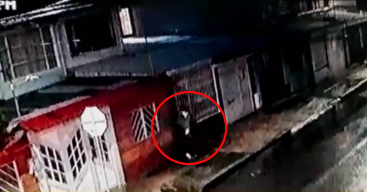 ¡Insólito! Hombre deja comida envenenada en las casas donde hay mascotas cuidando 8 ¡Insólito! Hombre deja comida envenenada en las casas donde hay mascotas cuidando En varios barrios del occidente de Bogotá, un sujeto ha estado dejando comida envenenada en las puertas de las casas donde hay perros, con el fin de matar a las mascotas y que no puedan reaccionar en caso de un hurto.
