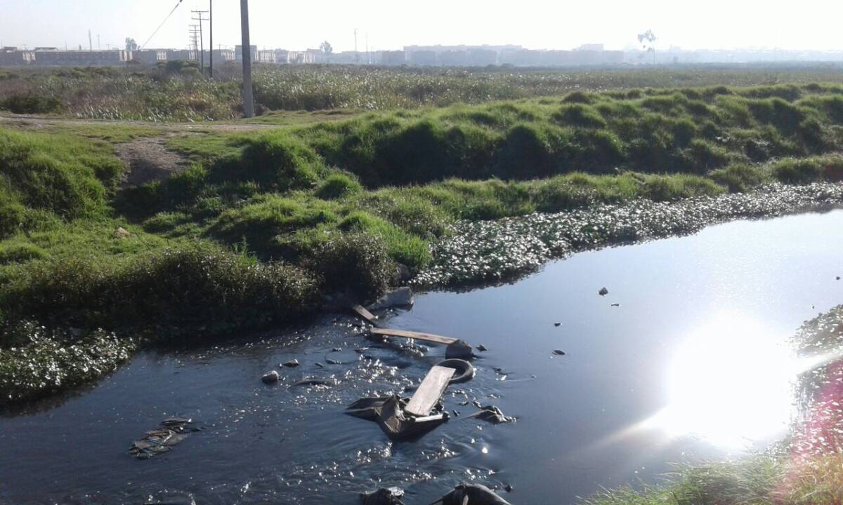 Macabro hallazgo en humedal de Bosa Otro macabro hallazgo se registró en la ciudad de Bogotá. En un humedal en Bosa, los moradores hallaron el cuerpo de un hombre con signos de violencia. “El cuerpo del hombrefue encontrado por la comunidad flotando en el canal de aguas de ahí del humedal”, indicó un vecino del sector.