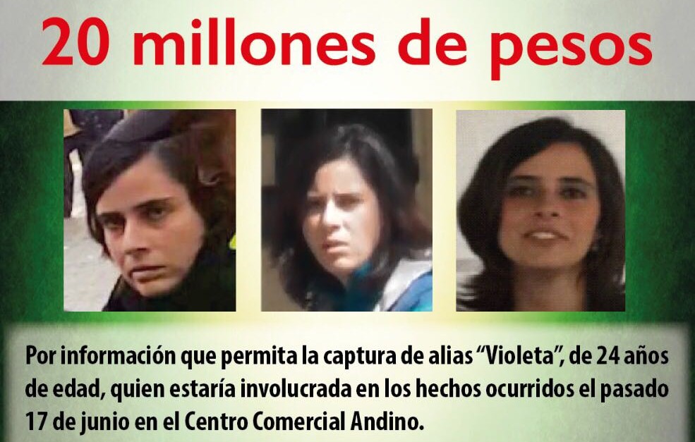 Capturada alias 'Violeta' quien habría participado en atentado del Centro Comercial Andino Las tropas del Ejército y uniformados de la Policía adelantaron este viernes una operación con la que pretendían ubicar a alias 'Pirry', uno de los guerrilleros del ELN más buscados en el sur de Bolívar. En medio de esta búsqueda, las autoridades capturaron a dos mujeres, una de ellas es Violeta Arango Ramírez, conocida como Violeta o La Rola.