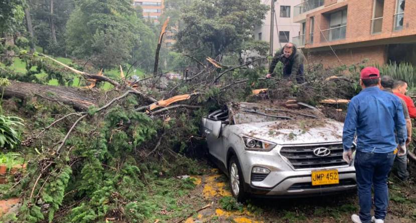 Niños quedaron heridos: árbol se cayó encima de un carro en el norte de Bogotá 7 Niños quedaron heridos: árbol se cayó encima de un carro en el norte de Bogotá Debido a las fuertes lluvias que se han presentado en la capital del país, varios árboles se han visto afectado y esto ha generado accidentes.