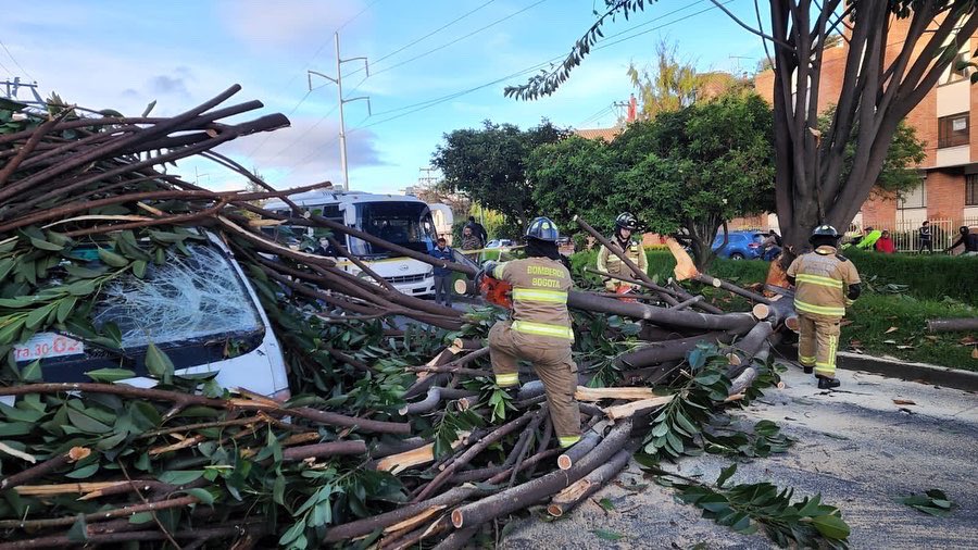 Árbol se le cayó encima a una ruta escolar en Usaquén 1 Árbol se le cayó encima a una ruta escolar en Usaquén En el barrio Cedritos, en la localidad de Usaquén, un gran árbol se le cayó encima a una ruta escolar que transitaba por la carrera novena con calle 140 la mañana de este martes.