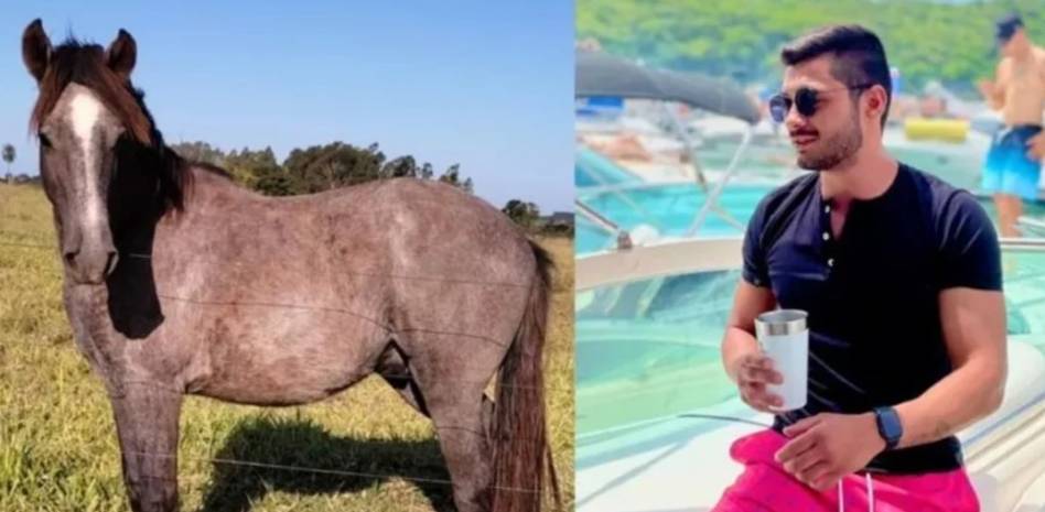 En una noche de tragos compró un caballo en una subasta Definitivamente el trago puede ser un enemigo para quien no sabe controlarlo, pues algunas personas terminan haciendo cosas de las cuales luego se pueden arrepentir, como le pasó a un hombre que se pegó tremenda borrachera y terminó comprando un caballo en una subasta.