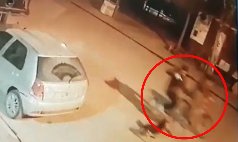 ¡Desalmados! Sujetos le dispararon a perro que les ladró “Nerón tenía un año y medio, no estaba haciendo nada, solo salió a ladrar y lo mataron”, lamentó la familia del perro, quienes ofrecen una recompensa para dar con los responsables de la vil agresión.