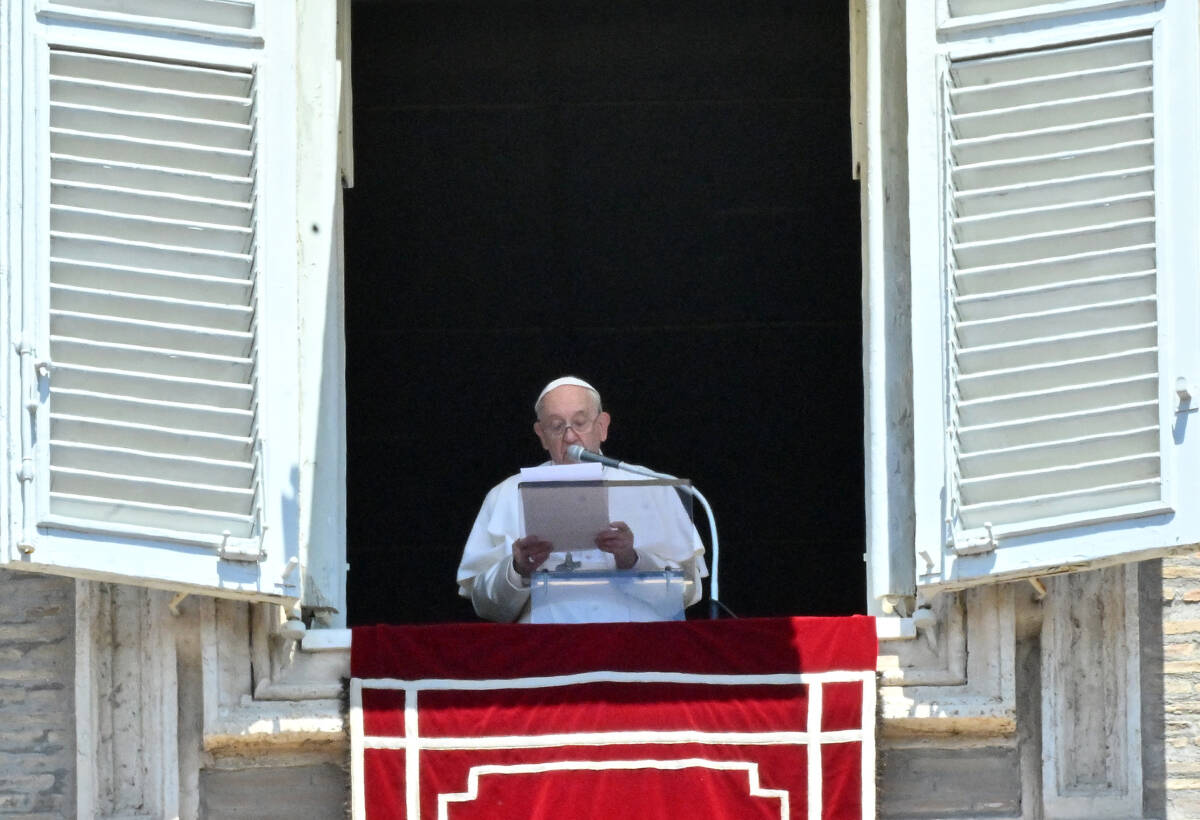 "Se ha declarado la Tercera Guerra Mundial": Papa Francisco 1 "Se ha declarado la Tercera Guerra Mundial": Papa Francisco El papa Francisco condenó el martes la "brutalidad" de las tropas rusas frente a un pueblo ucraniano "valiente", al tiempo que afirmó que la guerra "podría haber sido provocada". En su opinión, dijo que el conflicto ya se ha convertido en una "Tercera Guerra Mundial".