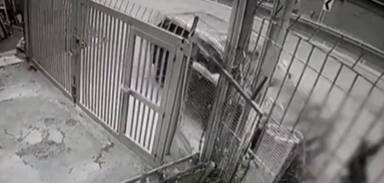 Conductor arrolló a un hombre al subirse al andén y luego lo abandonó En la noche de este jueves un conductor que iba en una camioneta atropelló a un hombre que iba caminando sobre el andén, dándole un gran impacto, y dejándolo inconsciente.