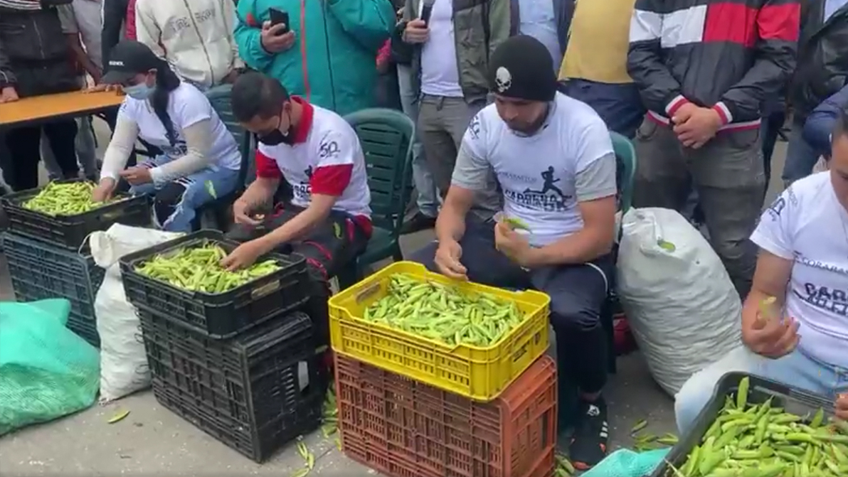 El campeonato del "desgranado de arvejas" que se realiza en Corabastos La competencia se desarrolló en plena plaza de mercado de Corabastos; un evento que se realiza hace más de 5 años, con premios para el primero, segundo y tercer lugar.