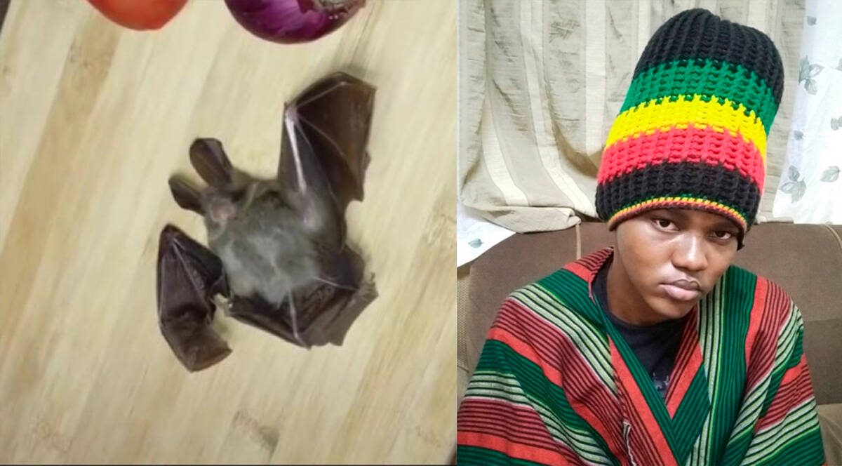 Se comió un murciélago para hacer un reto de TikTok Un joven se volvió viral luego de que compartiera un video en TikTok donde preparaba un murciélago y posteriormente se lo comía.
