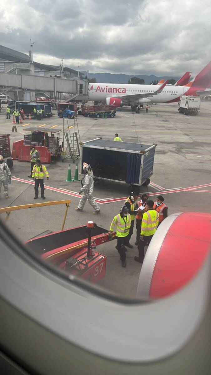 Pánico en avión durante aterrizaje de emergencia en El Dorado 1 Pánico en avión durante aterrizaje de emergencia en El Dorado Por fortuna, la situación no pasó a mayores y el avión pudo aterrizar. Por el momento se desconocen las causas del incidente y las autoridades aeronáuticas investigan.