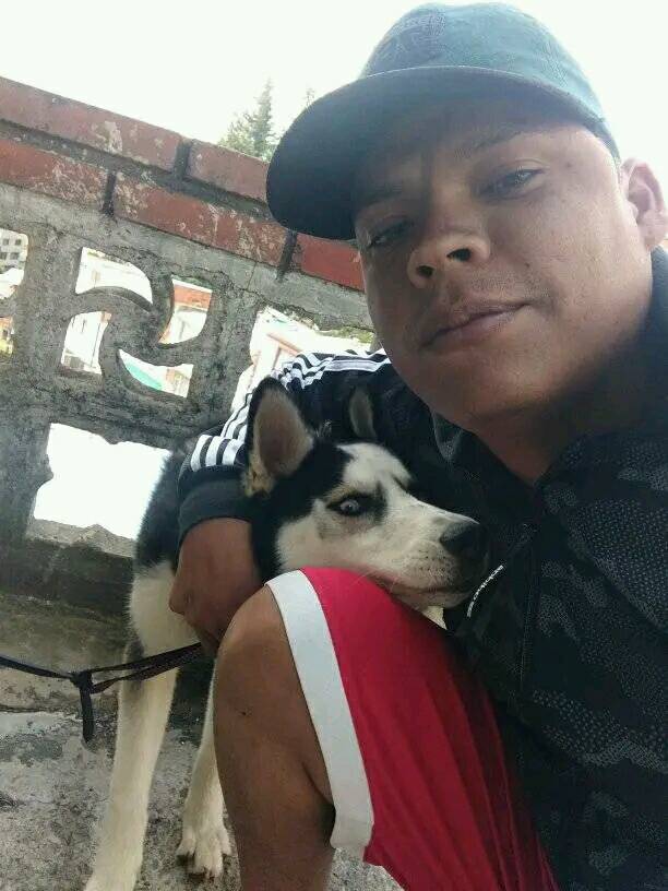 Líos pasionales le cobraron la vida a Domenico 1 Líos pasionales le cobraron la vida a Domenico El brazo de Domenico Daniel Yslandia Tocar quedó por fuera de la reja blanca que envuelve el antejardín de la casa azul donde vivía con su mujer y otros conocidos. Su mano, ya pálida, quedó en la posición de angustia y tensión, la misma que el joven de unos 30 años de edad empleó para tratar de salvarse del brutal ataque del que fue víctima en horas de la mañana de ayer.