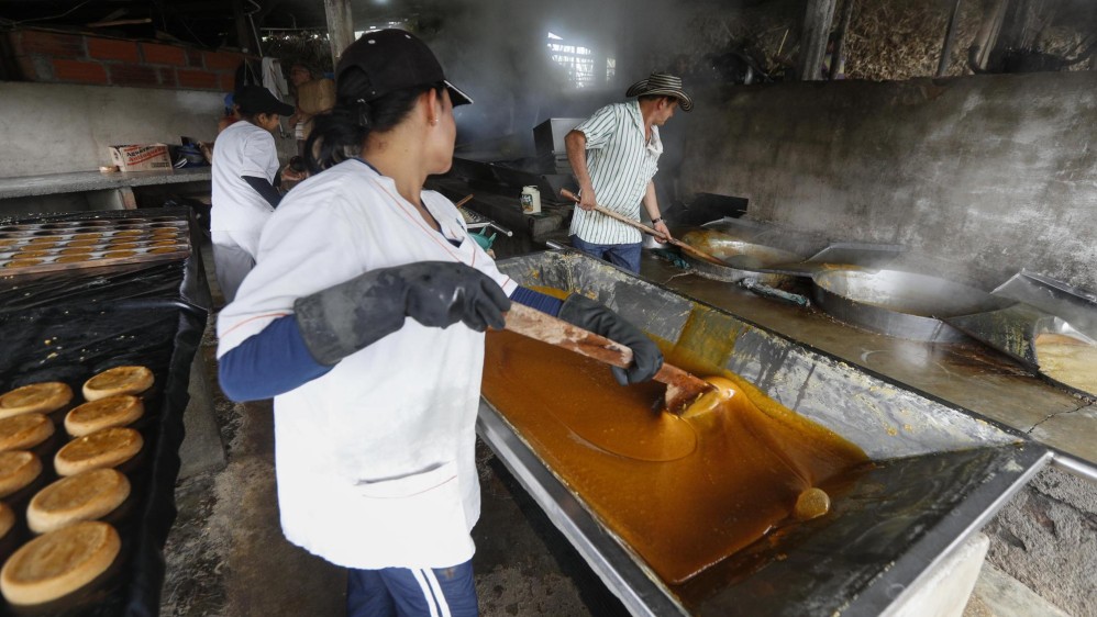 Paneleros están en la olla: colombianos ahora prefieren bebidas artificiales El gremio de los paneleros amaneció en paro, luego del anuncio efectuado ayer por el movimiento Dignidad Panelera, como consecuencia, dicen ellos, de la negativa por parte del gobierno, en cabeza del Ministerio de Agricultura, de atender sus quejas ante la crisis que atraviesa su sector.