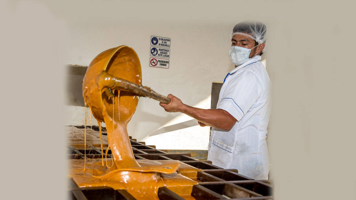 Paneleros están en la olla: colombianos ahora prefieren bebidas artificiales 1 Paneleros están en la olla: colombianos ahora prefieren bebidas artificiales El gremio de los paneleros amaneció en paro, luego del anuncio efectuado ayer por el movimiento Dignidad Panelera, como consecuencia, dicen ellos, de la negativa por parte del gobierno, en cabeza del Ministerio de Agricultura, de atender sus quejas ante la crisis que atraviesa su sector.