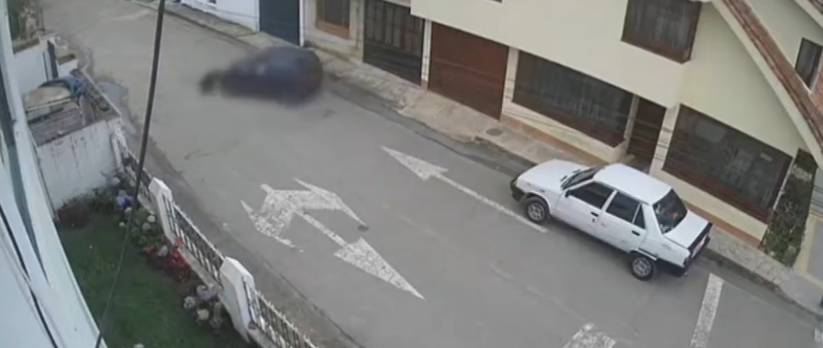 Indignación por conductor que atropelló a un perrito de manera intencional en Cundinamarca 1 Indignación por conductor que atropelló a un perrito de manera intencional en Cundinamarca Un perrito llamado Max, fuer arrollado por un inescrupuloso conductor que al verlo en medio de la vía le paso por encima y lo arrastro 5 metros hasta dejarlo herido en la calle. El hechos sucedió en Sesquilé Cundinamarca.
