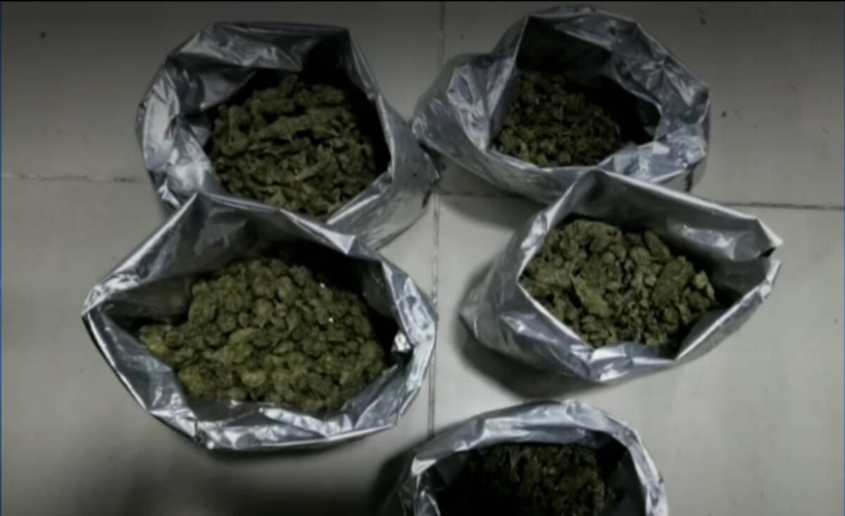 Cayó banda que elaboraba droga sintética en un apartamento de Castilla La Policía Antinarcóticos hizo la redada que permitió la captura un integrante de una banda delincuencial que producía y vendía droga en Castilla, al suroccidente de Bogotá.