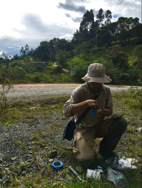 Descubren inédito dinosaurio en el país Y es que paleontólogos de la universidad del Norte de Barranquilla pudieron identificar un nuevo espécimen de dinosaurio a nivel mundial.