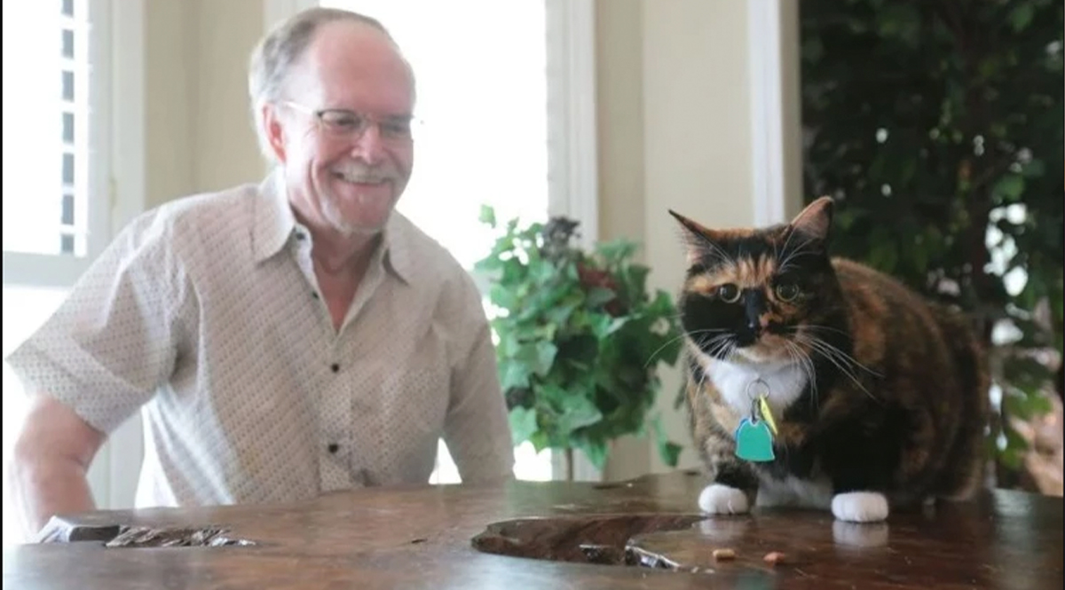 Gata salvó de robo a mano armada a su dueño Para muchos tener un gato puede ser una experiencia increíble y más cuando se trata de uno que puede salvarte de ser robado en tu propia casa. Esto le sucedió a un hombre en Mississippi (Estados Unidos), quien gracias a su gata se salvó de los delincuentes.