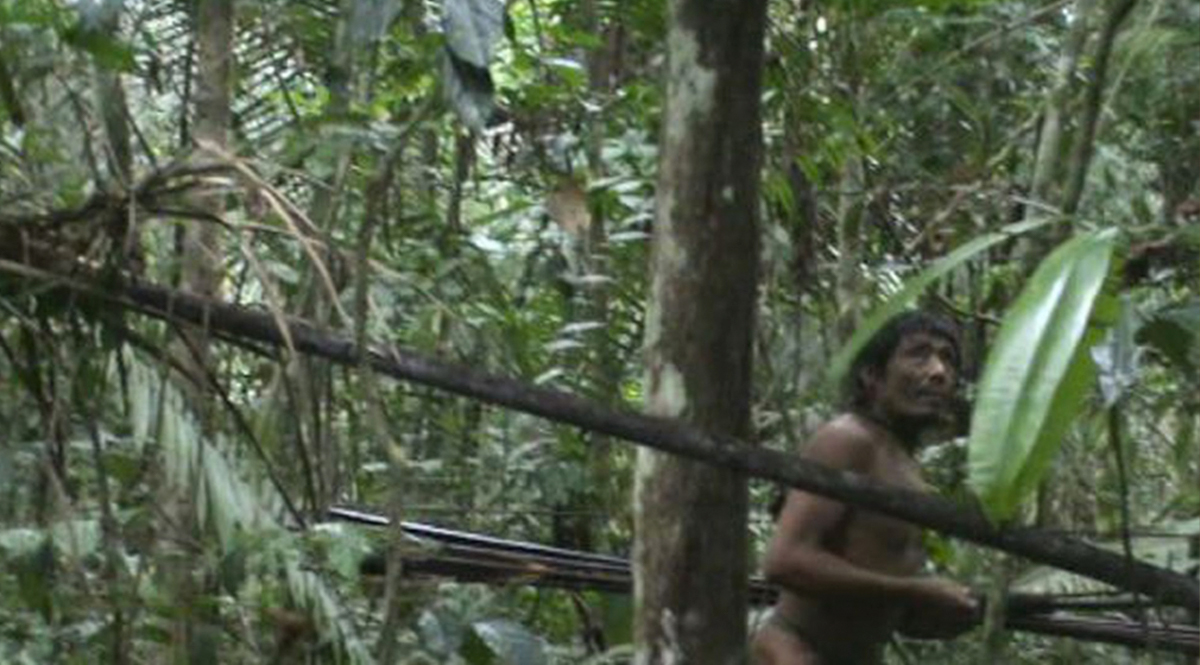 Murió el último indígena de la tribu más aislada de Brasil Se trata del último integrante de la tribu indígena Tanaru, quien vivió totalmente aislado durante casi 30 años en el estado brasileño de Rondonia. El reporte de su fallecimiento lo hizo la Fundación Nacional del Indígena (FUNAI).
