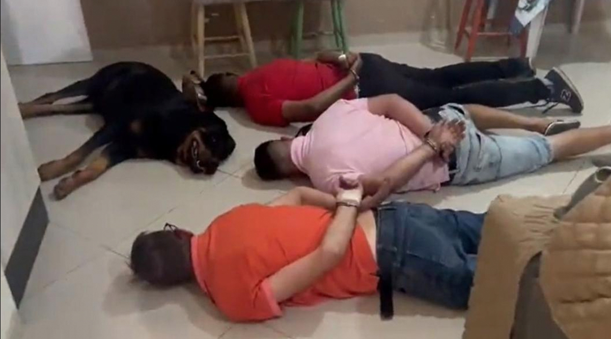 Perrito guardián de cargamento de droga se rindió en operativo de la policía En redes sociales se ha viralizado el video de un perrito de raza rottweiler que en medio de un operativo de la policía antinarcóticos de manera muy tierna se "rinde" ante los uniformados.