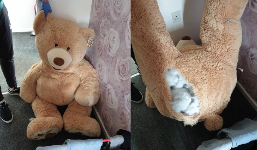 Ladrón se metió dentro de un oso de peluche para esconderse 2 Ladrón se metió dentro de un oso de peluche para esconderse La particular historia ocurrió en la ciudad de Rochdale, del Gran Mánchester, Inglaterra, y fue dada a conocer por la Policía local en las últimas horas, a propósito de la sentencia a prisión que le dieron al protagonista de este insólito caso.