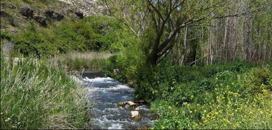 ¡Indignante! Una mujer ahogó a sus dos hijas en una quebrada De acuerdo con la Policía de Nariño, la mujer ahogó a sus hijas en una quebrada de la vereda Peñas Blancas, ubicada en el municipio de La Unión, supuestamente en medio del desespero por la falta de dinero.