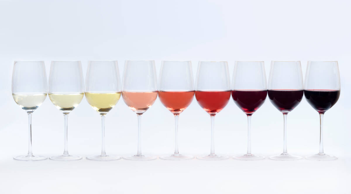 Todo lo que necesita saber sobre Expovinos 2022 El Gran Salón de Corferias en Bogotá volverá a convertirse en el punto de encuentros de los amantes del vino, con la edición número 17 de Expovinos, la feria más concurrida de América Latina, en su género.