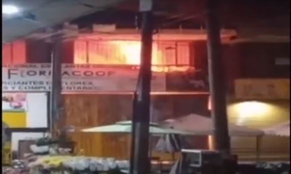 Incendio en una bodega de flores de Paloquemao generó pánico 1 Incendio en una bodega de flores de Paloquemao generó pánico En horas de la noche se registró un fuerte incendio dentro de una bodega de flores de Paloquemao, frente a la Plaza de Mercado. El pánico se apoderó de los ciudadanos que se encontraban en este sector cuando vieron las llamaradas que alcanzaban varios metros de altura.
