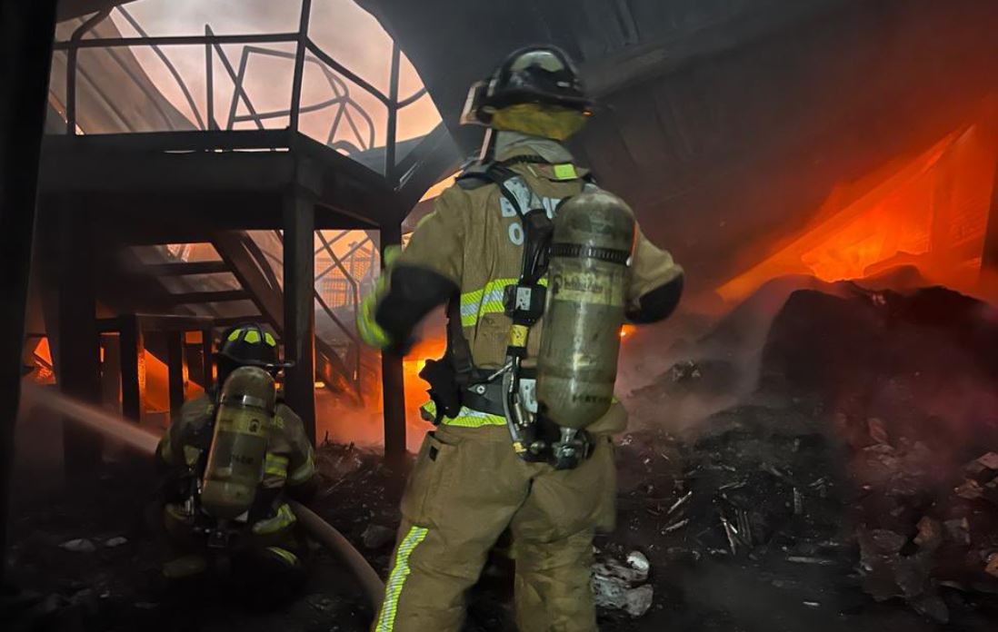 Incendio en una bodega de flores de Paloquemao generó pánico 4 Incendio en una bodega de flores de Paloquemao generó pánico En horas de la noche se registró un fuerte incendio dentro de una bodega de flores de Paloquemao, frente a la Plaza de Mercado. El pánico se apoderó de los ciudadanos que se encontraban en este sector cuando vieron las llamaradas que alcanzaban varios metros de altura.