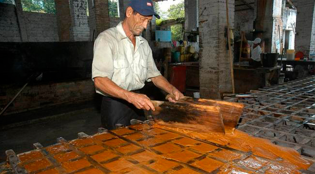 Amarga situación para paneleros en Boyacá Centenares de paneleros afirmaron que están trabajando y que lo único que ven son pérdidas. Los principales problemas se deben a los costos de los insumos elevados y la llegada de productos endulzantes que reemplazan a la panela natural.