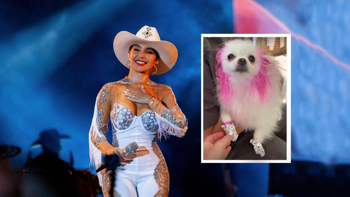 Le llueven críticas a Paola Jara por pintar a su perrita 4 Le llueven críticas a Paola Jara por pintar a su perrita La artista colombiana Paola Jara generó cientos de críticas por posible maltrato animal, pues pintó de rosado la cola, las orejas y las patas de su perrita Mía.