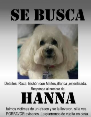 En Teusaquillo pillos le hurtaron el carro a una familia con su mascota adentro 1 En Teusaquillo pillos le hurtaron el carro a una familia con su mascota adentro La familia que según relató uno de los afectados llegaba a su casa luego de llevar a una de sus mascotas a la veterinaria cuando una banda de pillos se les acercó y los intimido con un arma de fuego.