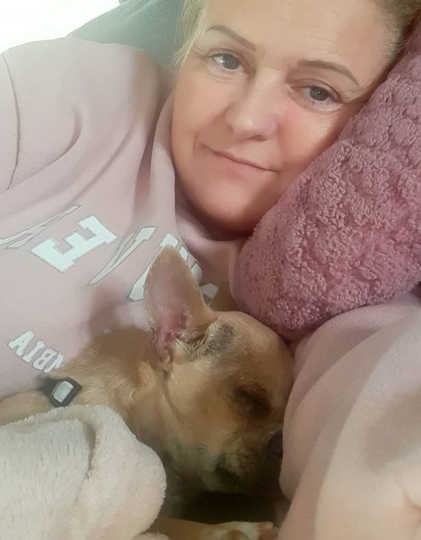 Asqueroso: mujer probó las heces de su perrita y terminó hospitalizada Amanda Gommo, una mujer de 51 años de edad, pasó un desagradable y asqueroso momento cuando por error terminó comiéndose las heces de su mascota.