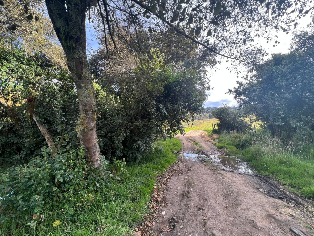 Hallan cuerpo con múltiples heridas en San Cristóbal Iban a ser las 5:20 de la tarde del pasado martes cuando uniformados del CAI Distrital, en la localidad de San Cristóbal, recibieron una alerta ciudadana que daba cuenta de una cruenta riña en una zona boscosa conjunta a la AV Circunvalar en cercanías del barrio Vitelma. Cuando llegaron al sitio, los uniformados se encontraron, efectivamente, con el cuerpo sin vida de un hombre de mediana edad que presentaba varias heridas causadas con arma blanca.