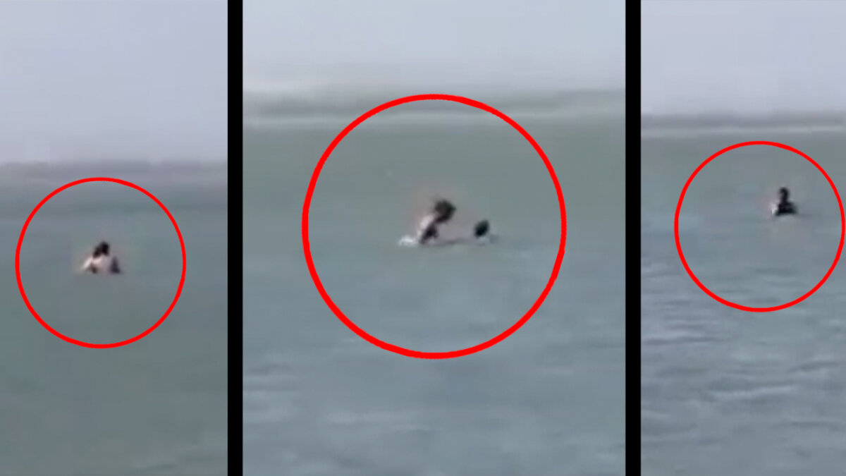 EN VIDEO: Pillados tendiendo relaciones en mar de Puerto Colombia 10 EN VIDEO: Pillados tendiendo relaciones en mar de Puerto Colombia Una familia denunció a una pareja que estaba teniendo relaciones íntimas en una de las playas de Puerto Colombia, Atlántico, a plena luz del día.