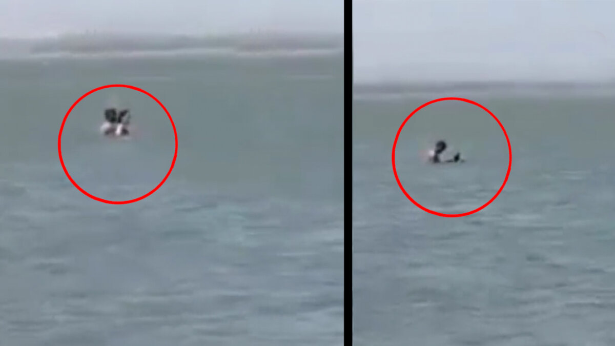 Multan a pareja que tuvo relaciones en playa de Puerto Colombia Luego de que un video se hiciera viral, sobre un hombre y una mujer teniendo sexo en las playas de Puerto Colombia, las autoridades de ese municipio pudieron identificarlos y les aplicaron una multa por infringir el Código Nacional de Policía.