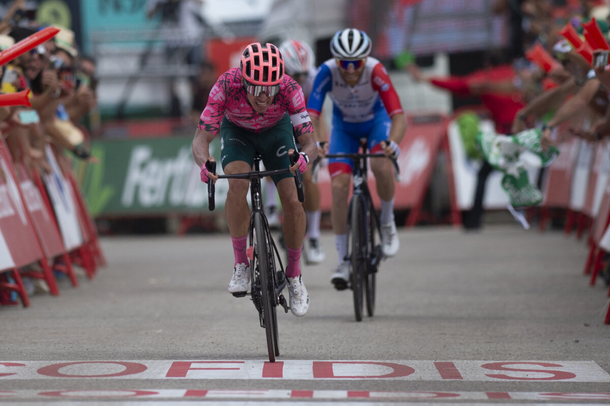 ¡Gigante, Rigo! Ganó la etapa 17 de la Vuelta a España 1 ¡Gigante, Rigo! Ganó la etapa 17 de la Vuelta a España Rigoberto Urán escribió este miércoles un nuevo capítulo dorado en su carrera deportiva. El 'Toro' de Urrao (Antioquia) se hizo gigante en la montaña y se quedó con el triunfo de la etapa 17 de la Vuelta a España.