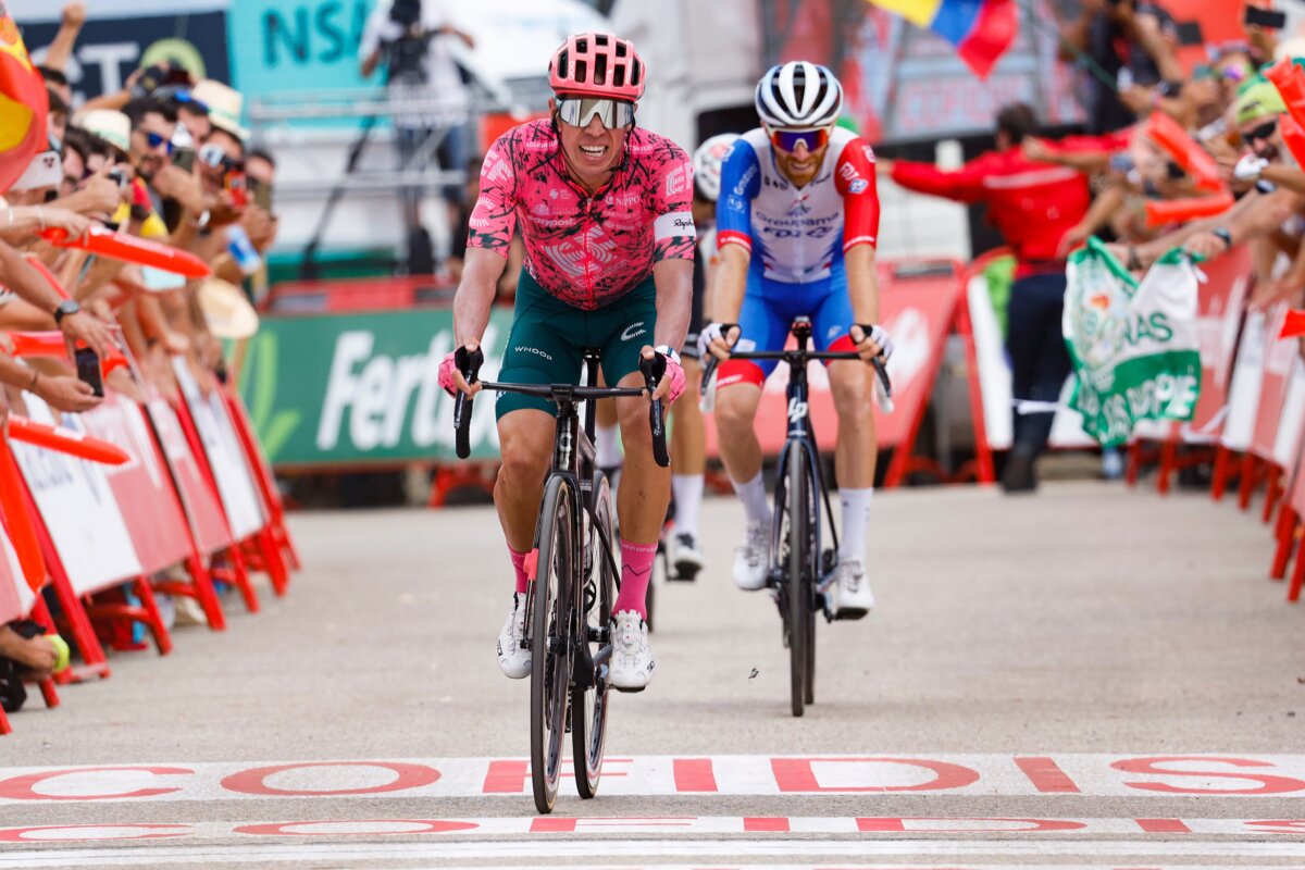 ¡Gigante, Rigo! Ganó la etapa 17 de la Vuelta a España 7 ¡Gigante, Rigo! Ganó la etapa 17 de la Vuelta a España Rigoberto Urán escribió este miércoles un nuevo capítulo dorado en su carrera deportiva. El 'Toro' de Urrao (Antioquia) se hizo gigante en la montaña y se quedó con el triunfo de la etapa 17 de la Vuelta a España.