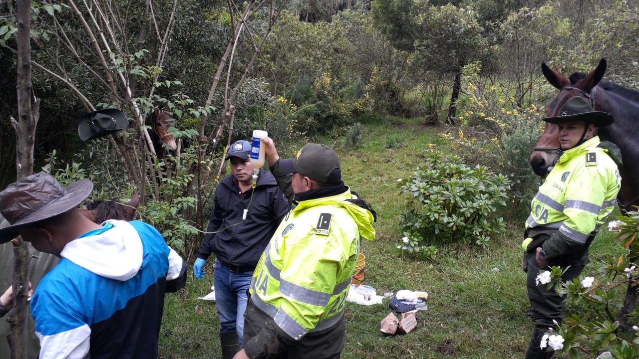 Rescatan a caballo que cayó dentro de una alcantarilla en Monserrate 5 Rescatan a caballo que cayó dentro de una alcantarilla en Monserrate En la localidad de Santa Fe, sobre la Avenida Circunvalar sentido norte-sur, en la parte baja de Monserrate, la Policía de Carabineros fue abordada por un campesino que angustiado les indicó que su caballo había caído dentro de una alcantarilla y necesitaba ayuda para sacarlo.