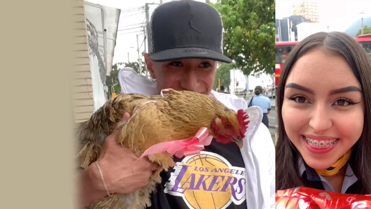 ¿Romántico? Joven le regaló una gallina a su novia de Amor y Amistad 7 ¿Romántico? Joven le regaló una gallina a su novia de Amor y Amistad En redes sociales se hizo viral el video de un joven que por el Día del Amor y la Amistad decidió regalarle una gallina a su novia. El inusual hecho ocurrió en Bogotá.