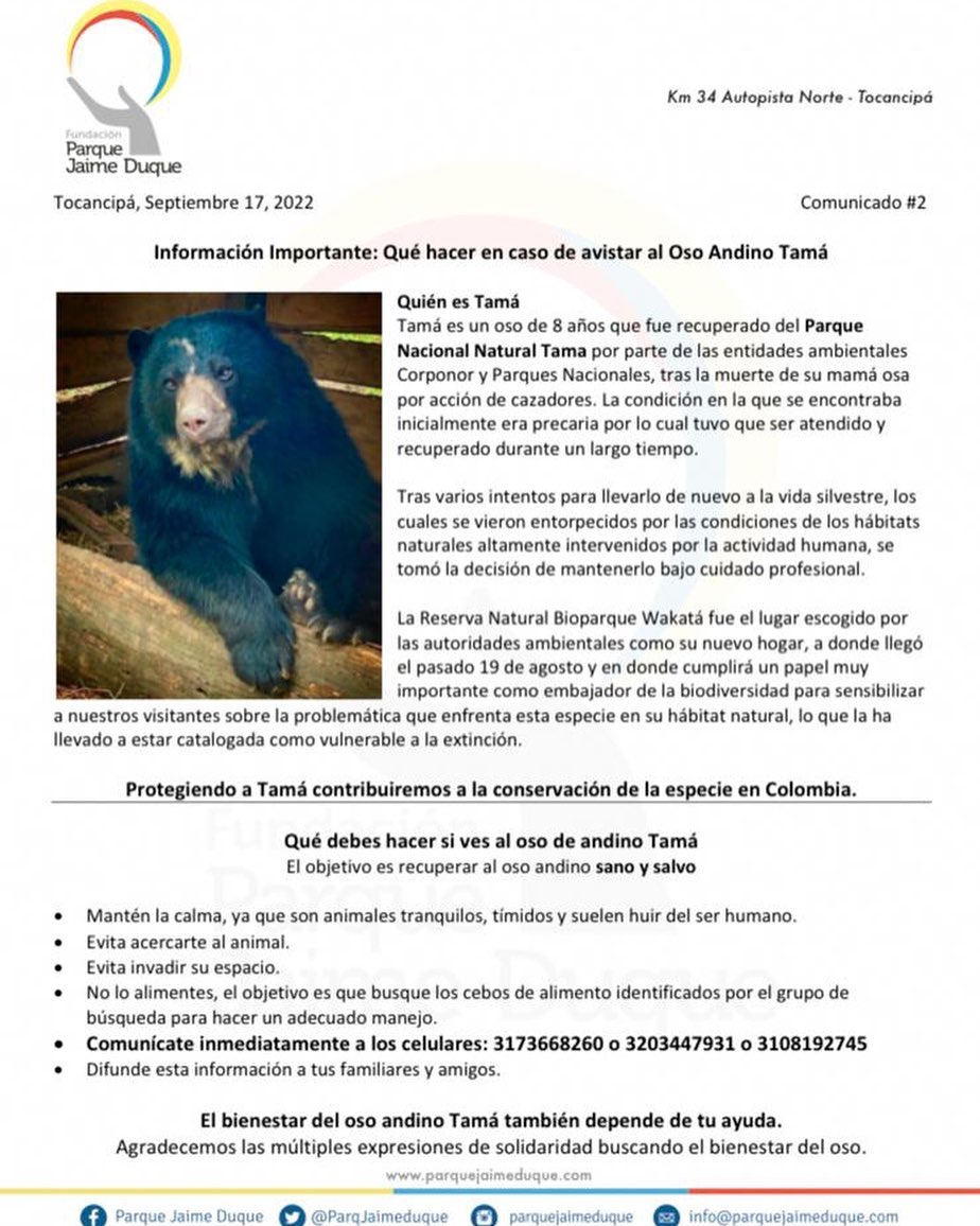 ¡Se busca! Oso andino escapó de una reserva natural en Tocancipá 1 ¡Se busca! Oso andino escapó de una reserva natural en Tocancipá La Corporación Autónoma Regional de Cundinamarca (CAR) reportó que un oso andino se escapó de una zona especial de la reserva natural Bioparque Wakatá de la Fundación Parque Jaime Duque en Tocancipá, Cundinamarca. El hecho ocurrió el pasado 15 de septiembre.