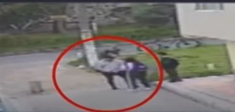 Pillo golpeó a una niña cuando iba para el colegio en Bosa  En la localidad de Bosa la inseguridad es cada vez peor y los pillos continúan haciendo de las suyas. Esta vez una niña de 15 años resultó herida luego de que un ladrón la abordara y la golpeara por no tener nada que entregarle.