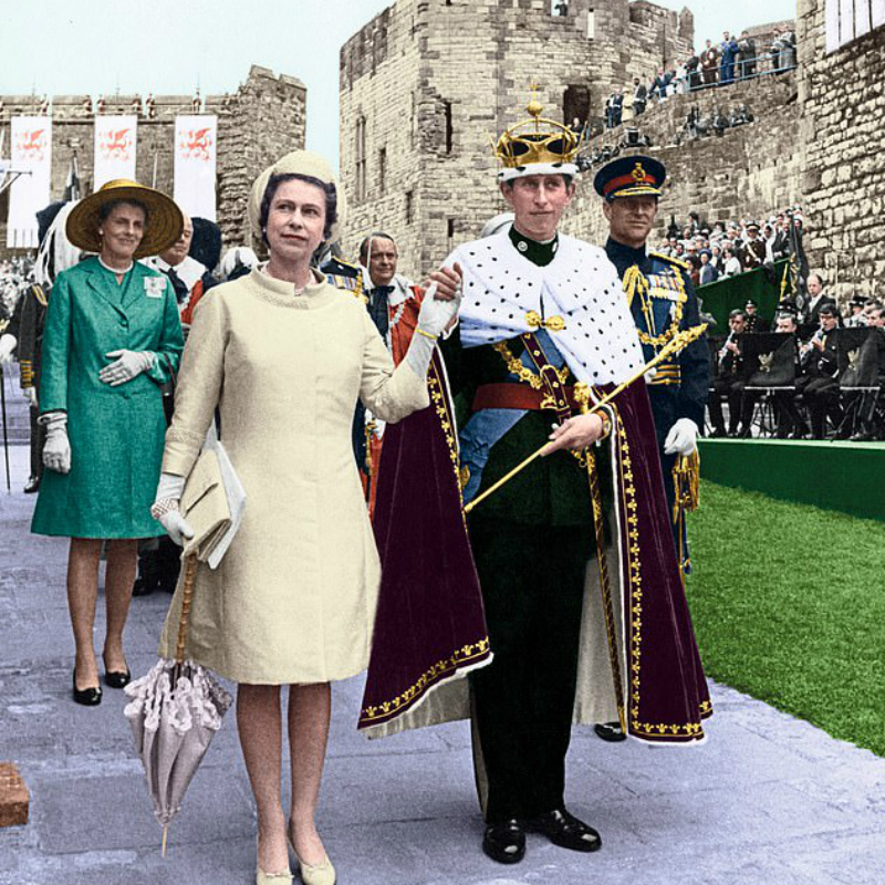 Los extraños privilegios de la reina Isabel II 1 Los extraños privilegios de la reina Isabel II Entre sus insólitos privilegios como soberana británica, la reina Isabel II no necesitaba pasaporte ni carné de conducir, celebraba su cumpleaños dos veces al año y era dueña de todos los cisnes y esturiones del país, que ahora heredará su hijo Carlos.