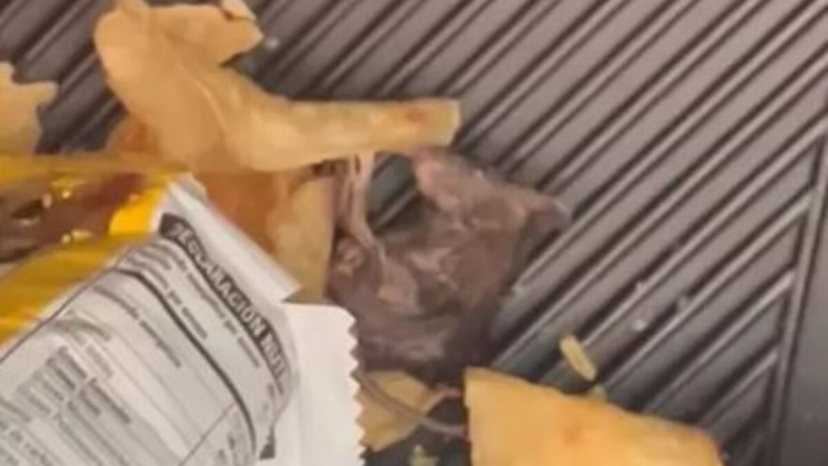 ¡Qué asco! Mujer encontró ratón muerto en sus papas fritas 3 ¡Qué asco! Mujer encontró ratón muerto en sus papas fritas Por medio de las redes sociales, una mujer compartió que tuvo una terrible y asquerosa experiencia con un paquete de papas en el que encontró un ratón muerto.