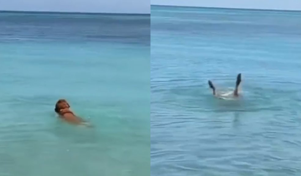 EN VIDEO: perrito dejó a más de uno boquiabierto al hacer nado sincronizado Un perrito se ha vuelto la sensación en Twitter por su forma de nadar en el mar, parece que fuera todo un profesional del nado sincronizado.