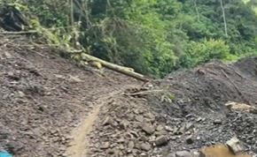 Tragedia en Yacopí: papá e hijo fallecieron por la caída de un árbol  La tristeza invade a los habitantes de Yacopí, Cundinamarca, luego de conocerse que papá e hijo fallecieron un trágico accidente en las últimas horas.