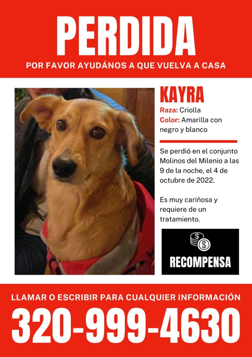 Servicio social: familia busca a su perrita en el sur de Bogotá 3 Servicio social: familia busca a su perrita en el sur de Bogotá Familia busca a su peludita, quien se extravío el pasado martes sobre las 9 de la noche en el conjunto Molinos del Milenio, en el barrio Molinos, localidad de Rafael Uribe Uribe.