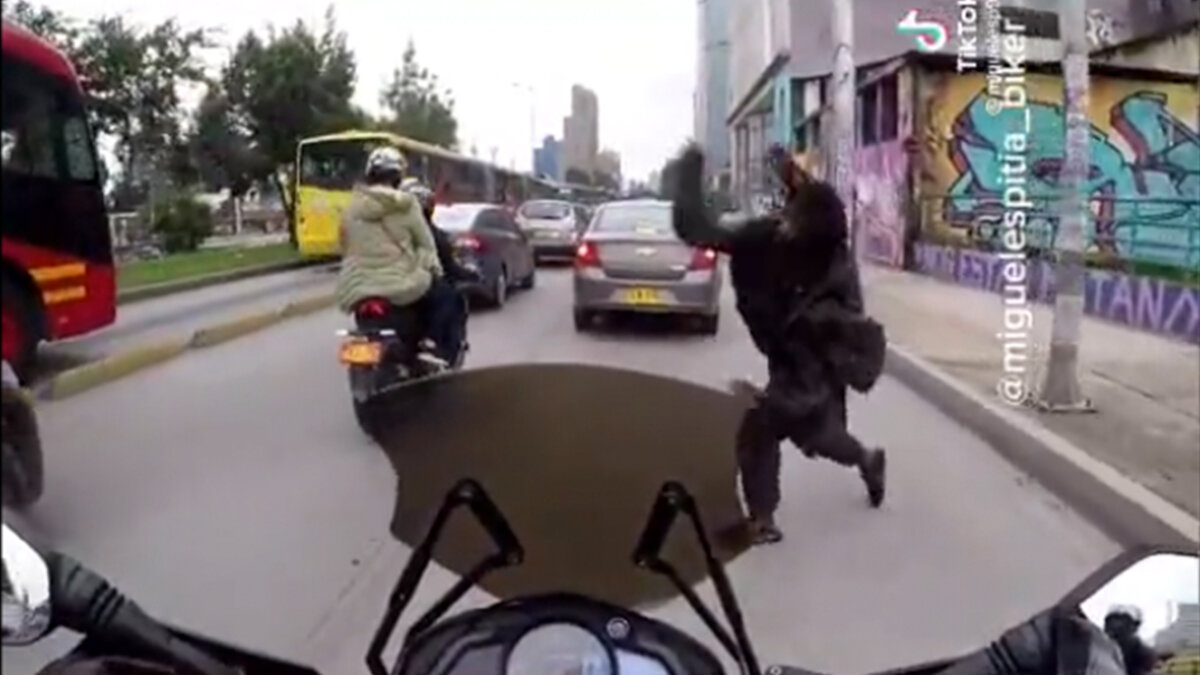 VIDEO: habitante de calle le rompe los vidrios a los carros en el centro de Bogotá En video quedó registrado el momento exacto en que un habitante de calle, llevado por la traba, coge una piedra y se la lanza al panorámico de un carro particular cuando este se detiene en un semáforo.