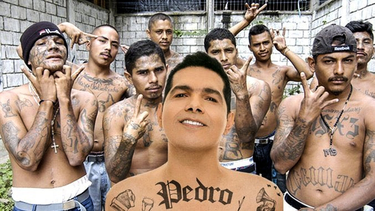 Los divertidos memes que le sacaron a Peter Manjarrés por su nuevo disco 6 Los divertidos memes que le sacaron a Peter Manjarrés por su nuevo disco Este domingo, el cantante vallenato Peter Manjarrés compartió en sus redes sociales el lanzamiento de su nuevo disco: Pedro, con el cual, dice, se identifica 100% porque se muestra tal cual es y su intención al grabar cada canción fue la misma, llegarle a su público de siempre.