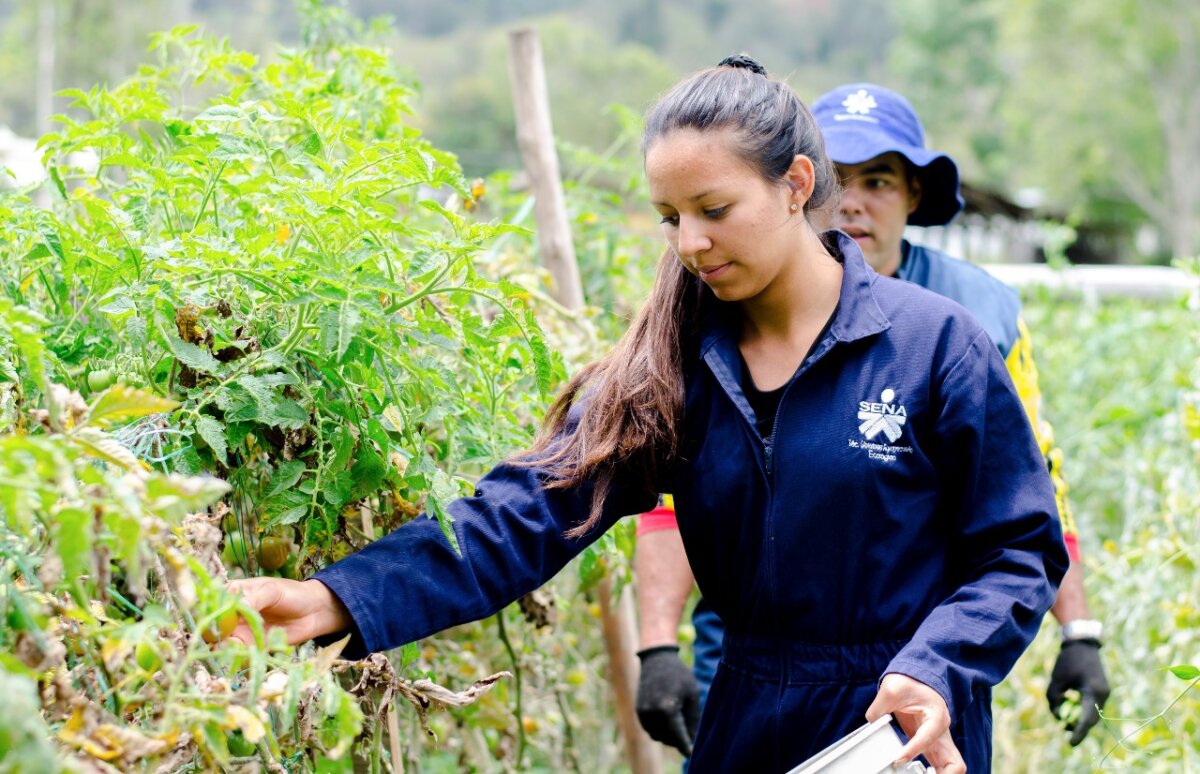 No pierda la oportunidad de estudiar gratis 1 No pierda la oportunidad de estudiar gratis Si a usted le gusta el tema de aprender sobre agricultura, le contamos que el Sena le va a apostar fuerte a este sector productivo, por eso hasta hoy estará abierta la primera convocatoria dirigida a este sector.