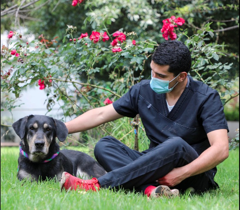 Dele una oportunidad a un peludo en adopción 2 Dele una oportunidad a un peludo en adopción Adoptar una mascota se ha vuelto cada vez más frecuente y cada vez menos personas pagan por un animal. De hecho, la Alcaldía Mayor, desde el Instituto Distrital de Bienestar y Protección Animal (Idpyba), realiza jornadas de adopción gratuitas para que aproveche y se enamore de un peludito.